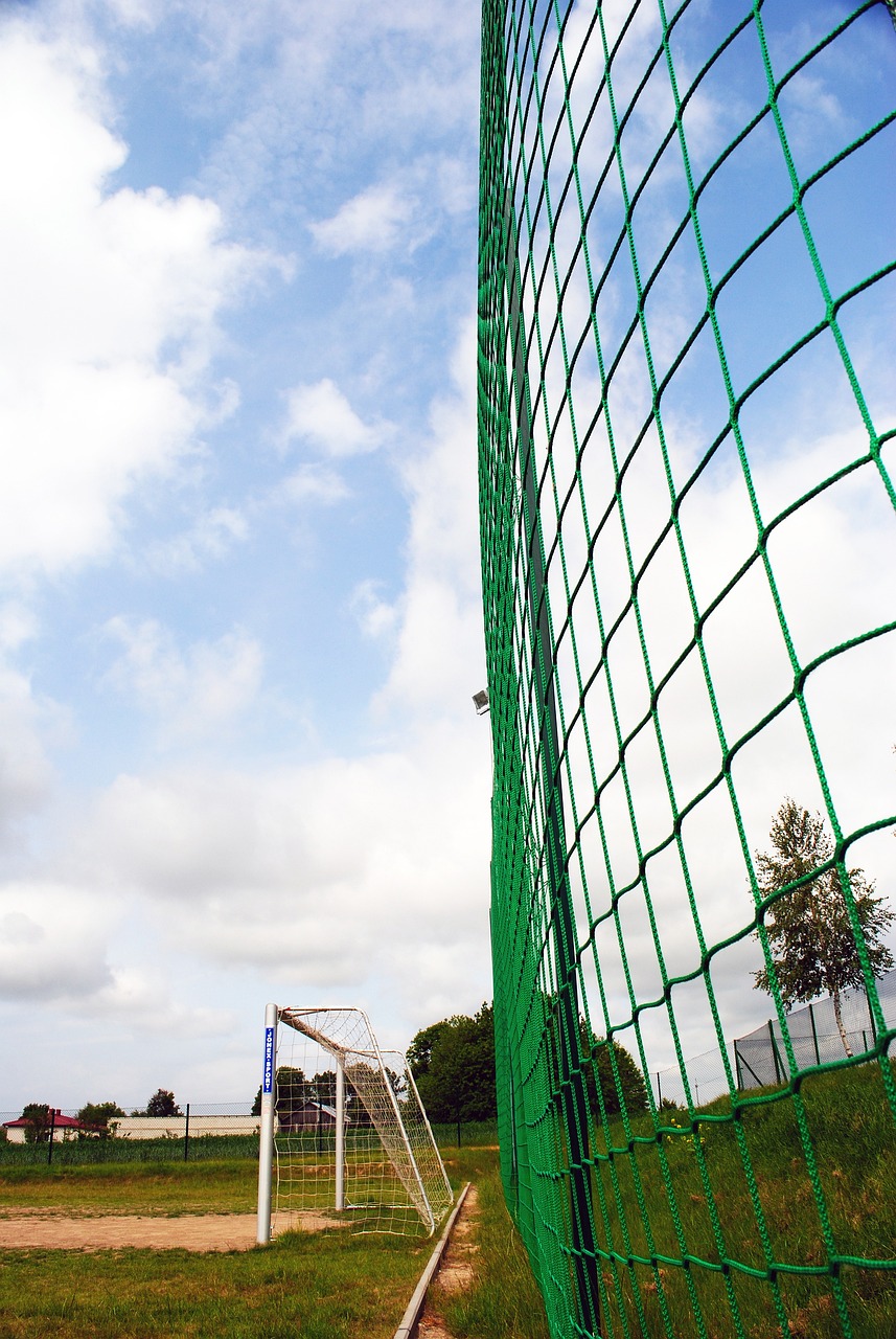 不可替代的 不可替代的