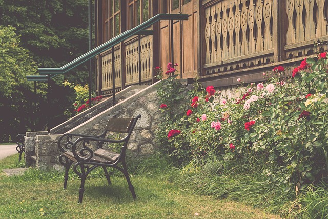 的引进不断 的引进不断