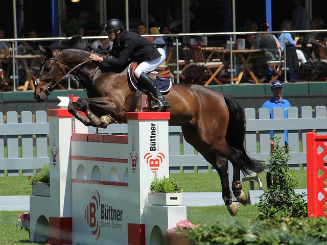 打進八強 打進八強