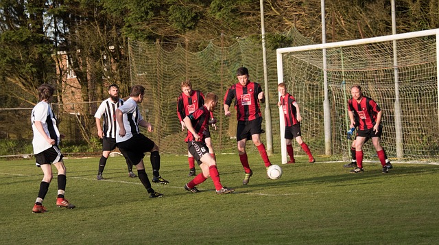 心理素质的 心理素质的