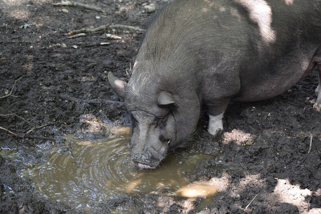 国电竞行业 国电竞行业