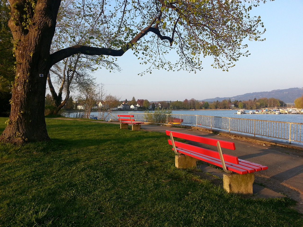 赛的最后一 赛的最后一